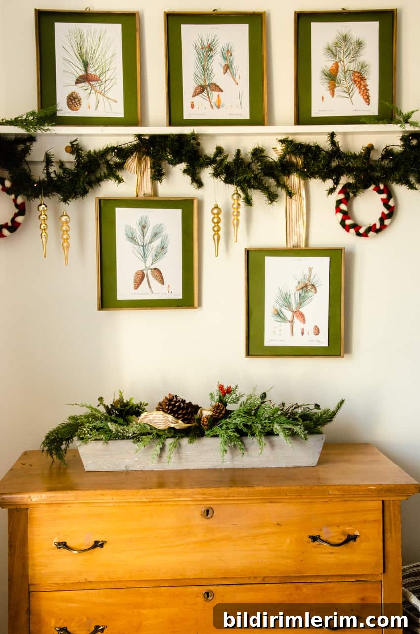 free printable winter wall art prints hanging on a wall. These free vintage winter printables feature pine cone botanical art.