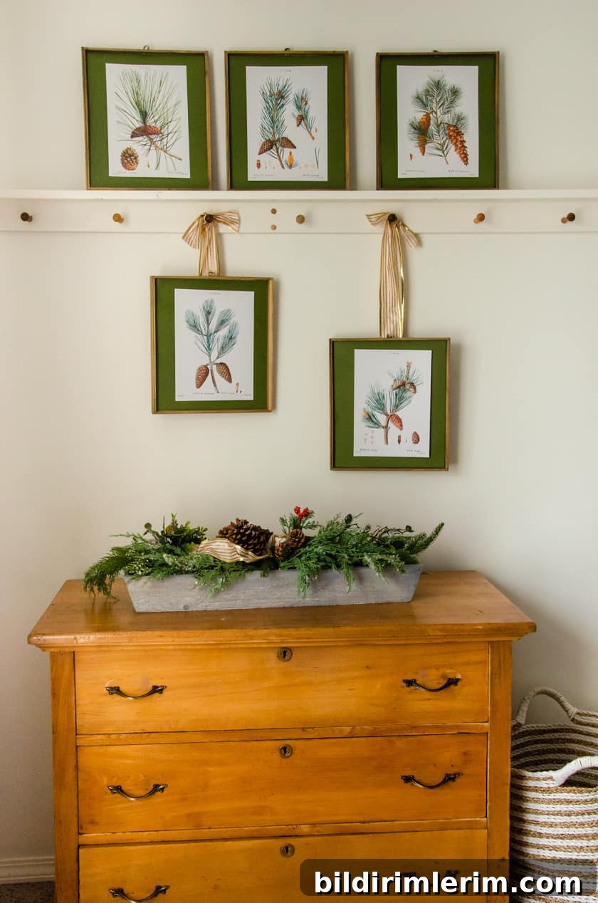 Winter botanical prints used as christmas decorations on a wall