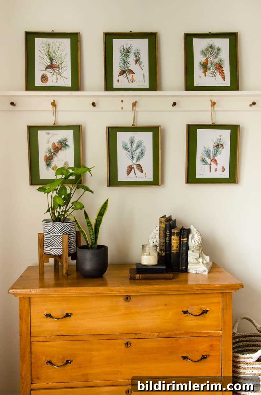 free vintage winter printables (botanical pine cones) hung on the wall above a dresser with live plants and antique books sitting on it. It shows how free printable winter wall art can be used.