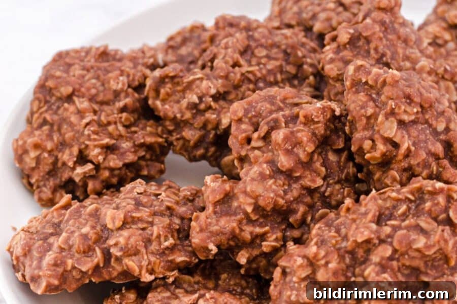 Chewy Chocolate Peanut Butter No-Bake Oatmeal Cookies 2 No bake chocolate peanut butter cookies