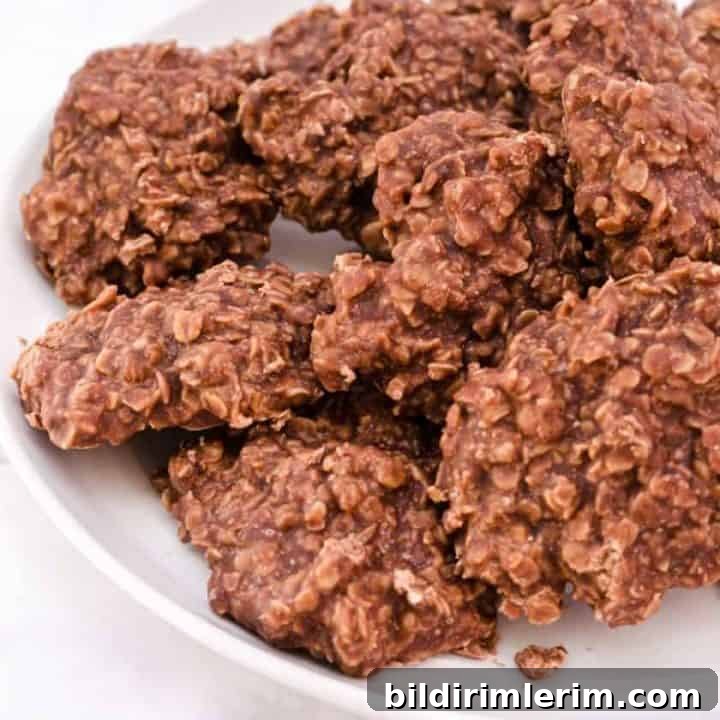 no bake chocolate peanut butter cookies on a plate
