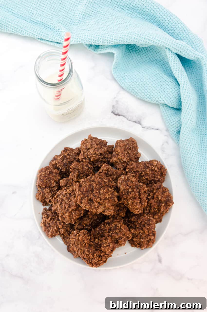 Chewy Chocolate Peanut Butter No-Bake Oatmeal Cookies 5 Plate of oatmeal no bake chocolate cookies