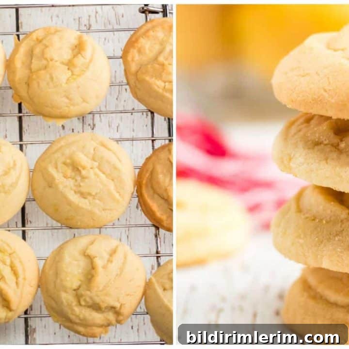 Image for Soft And Chewy Lemon Cookies