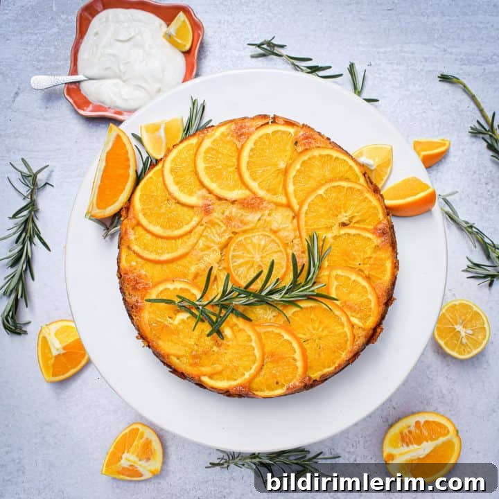 Image for Meyer Lemon Olive Oil Cake