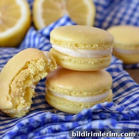 Image for Lemon Macarons