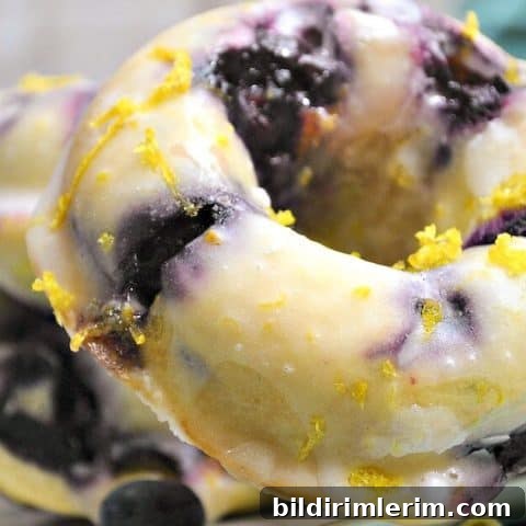 Image for Baked Lemon Blueberry Donuts