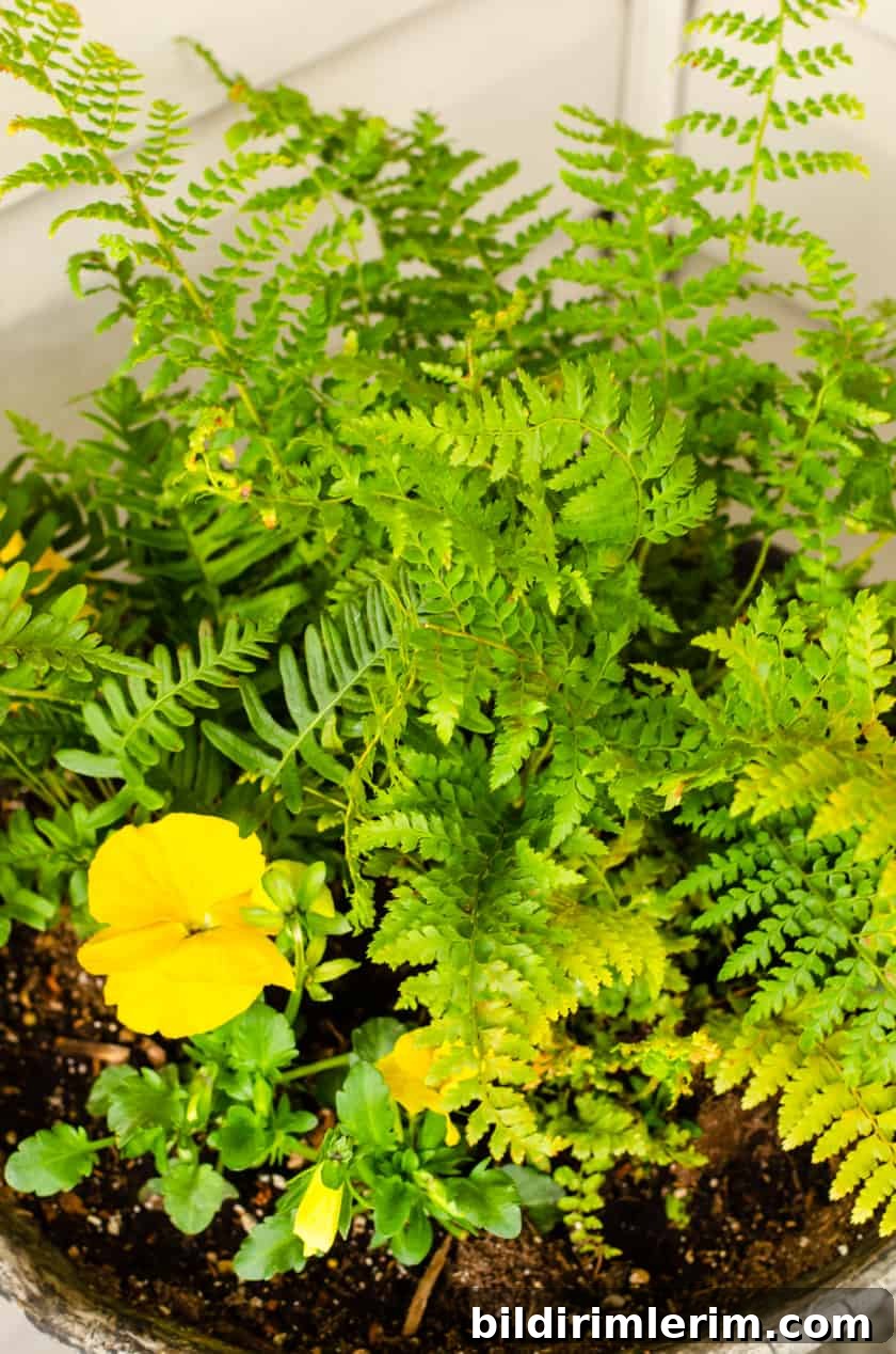 Front porch with spring planter