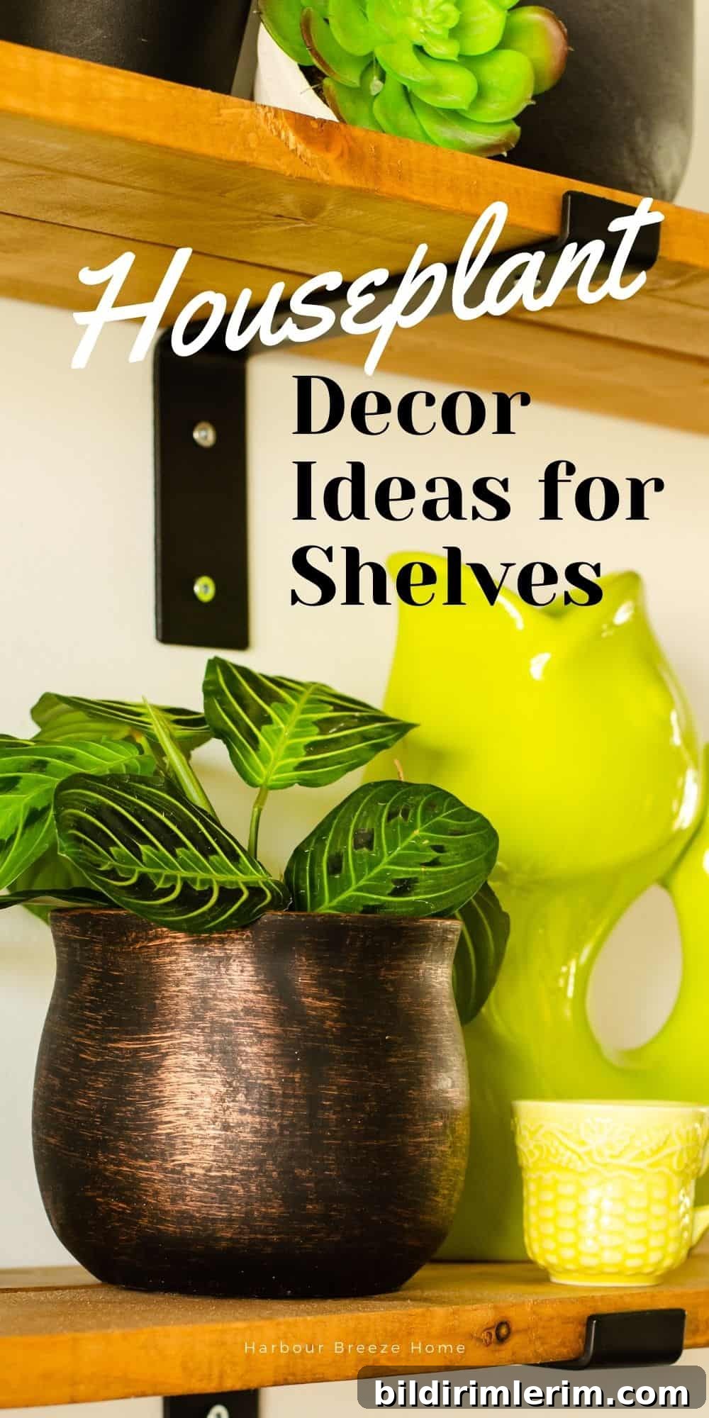 Prayer plant on a farmhouse shelf as Dining Room decor for Spring