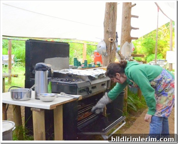 stove