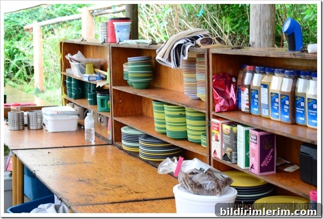 open cupboards