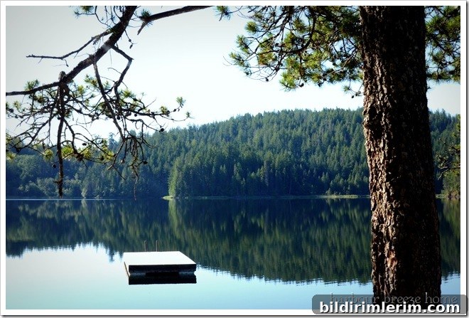 the morning lake