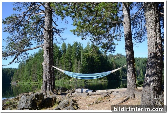hammock