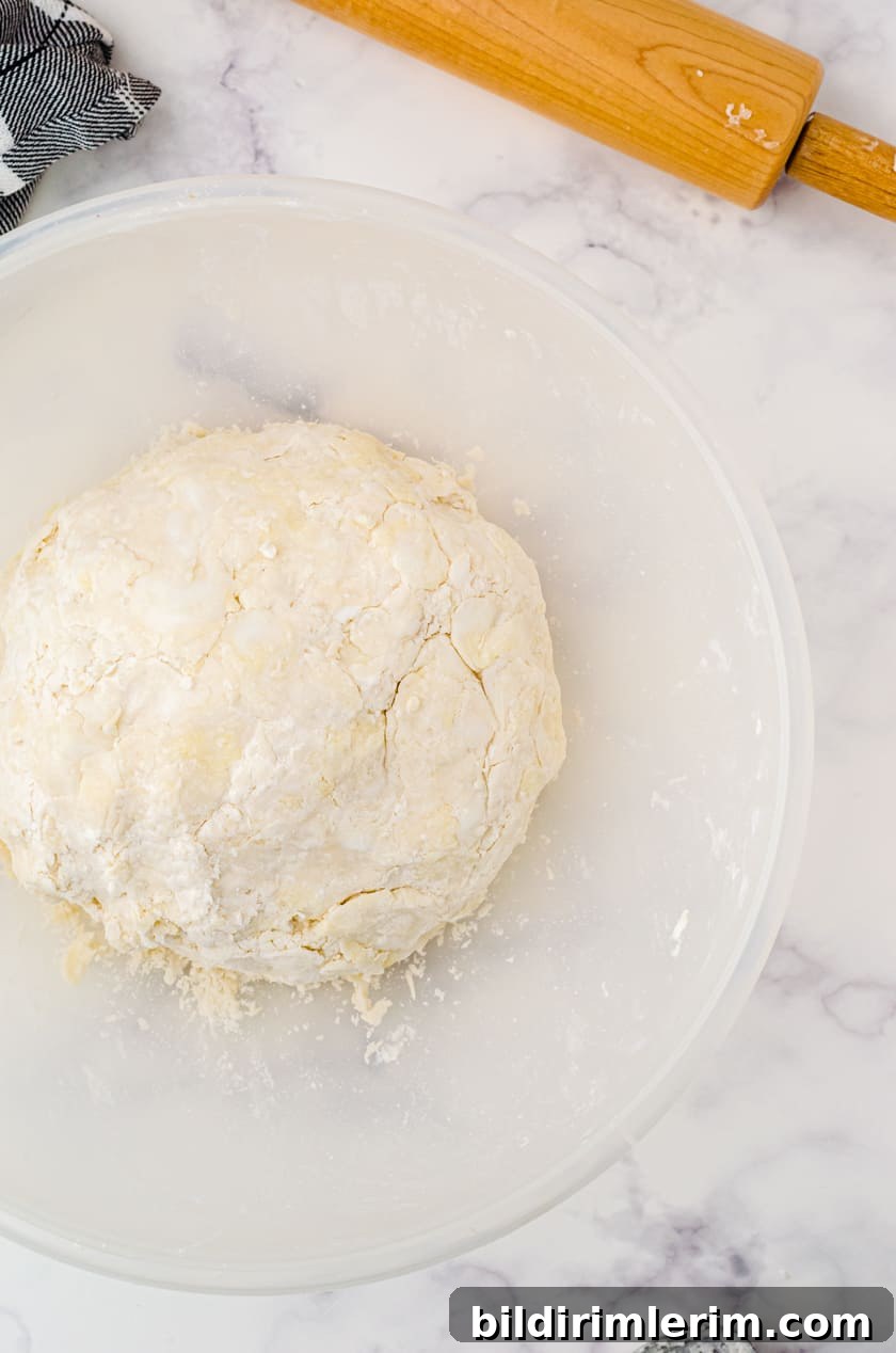 Pie dough ball in a bowl