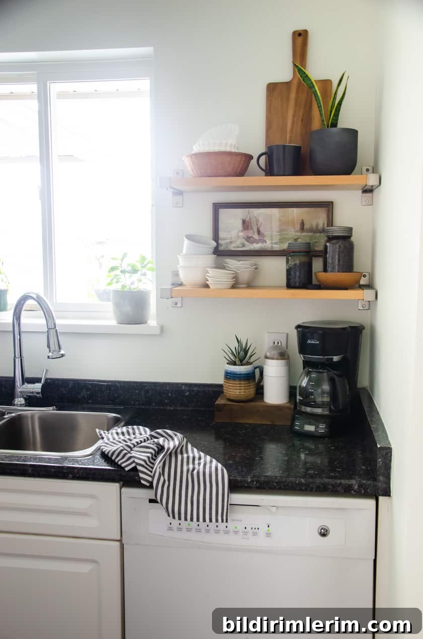 Budget-Friendly Small Kitchen Remodel Ideas 8 Open shelves with a snake plant, wooden cutting board, antique art print, and bowls as decor.