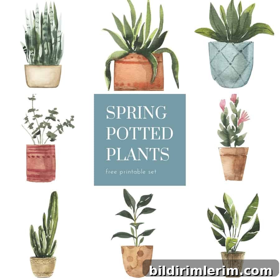 Images of watercolor houseplant wall art printables