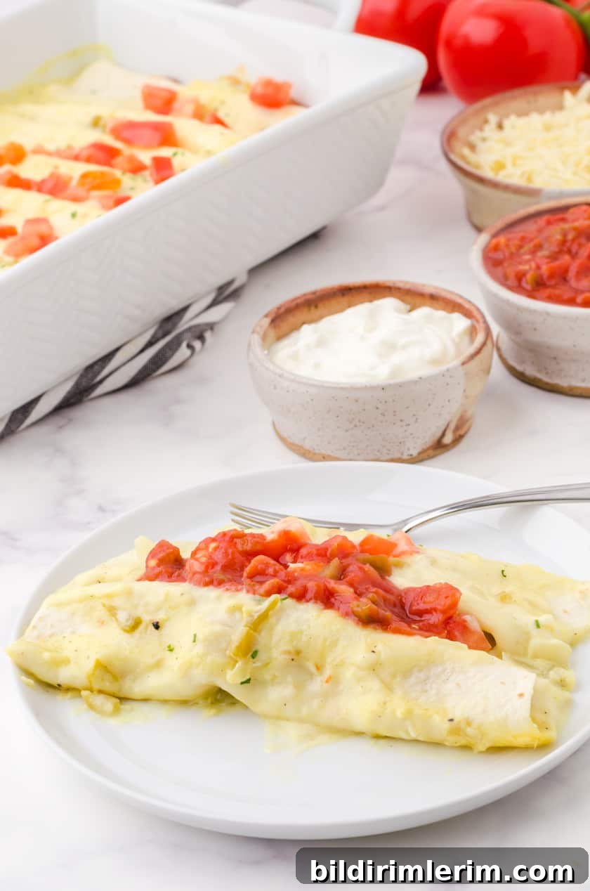 A plate with 2 chicken enchiladas on it with salsa and sour cream on the top.