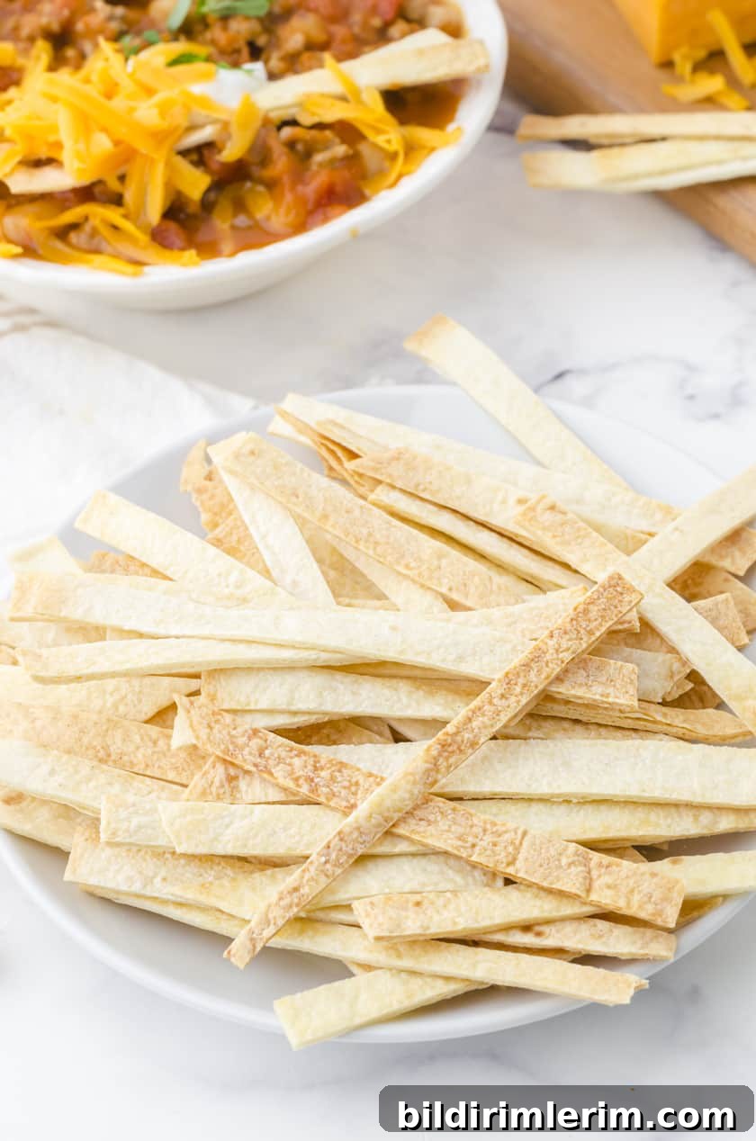 crispy baked tortilla strips