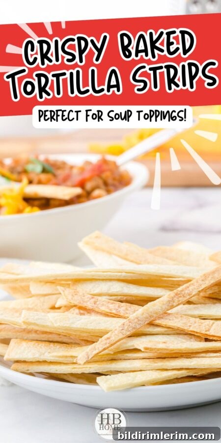 baked tortilla strips served with soup