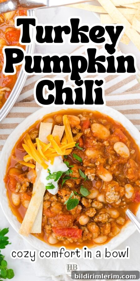 Bowl of turkey pumpkin chili