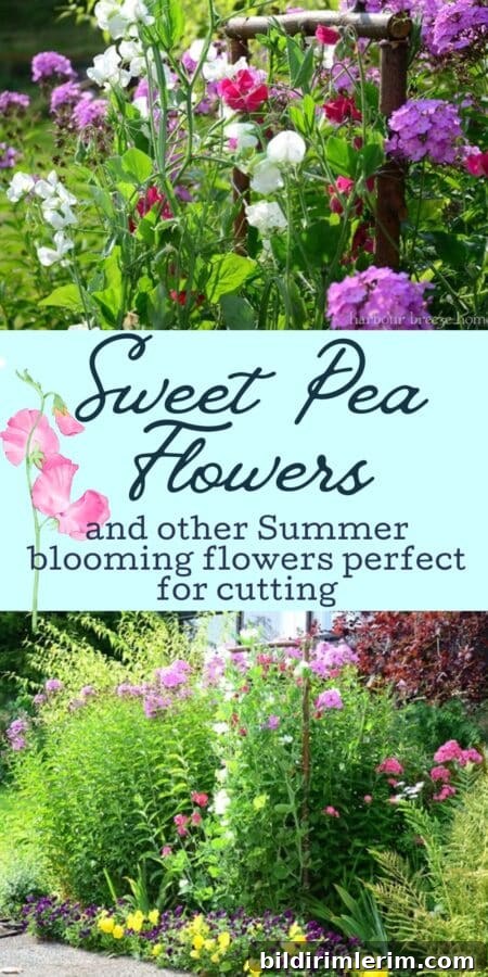 Sweet Peas and Summer Blooms for Gorgeous Cut Flowers 2 cut flowers and arrangements