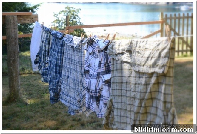 clothes on the line clothes on the line