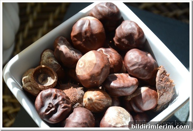 bowl of chestnuts