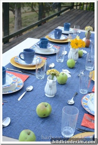 apple table runner