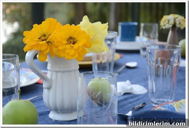 yellow flowers