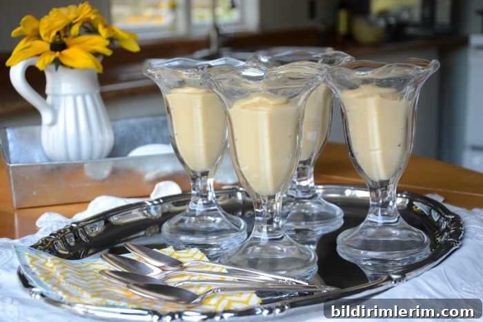 Homemade vanilla pudding in a bowl