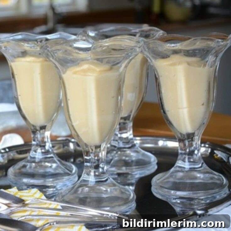 Homemade vanilla pudding close-up