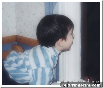 colin watching snow2 colin watching snow2