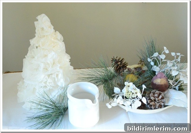 tree and bowl