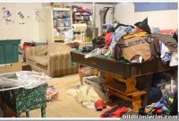 Basement Organization: First Client Project Reveal