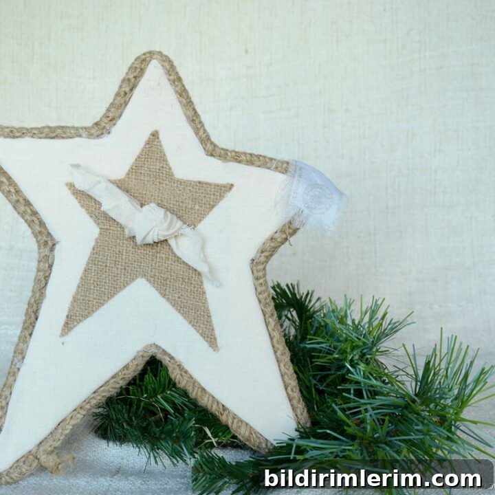 DIY Burlap Star Tree Topper
