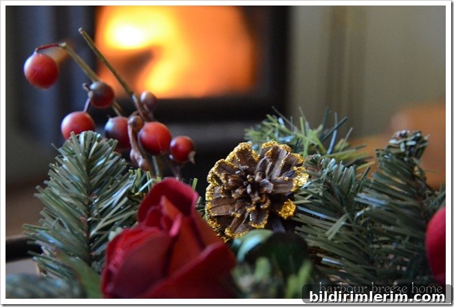fireside