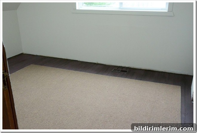 rug in