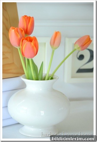 tulips in a vase for valentines day decor on an entryway table