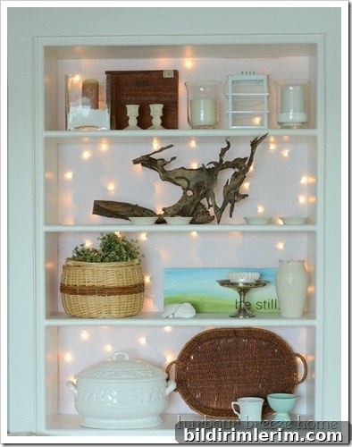 twinkling bookcase