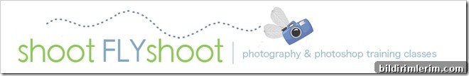 shootFLYshoot_header