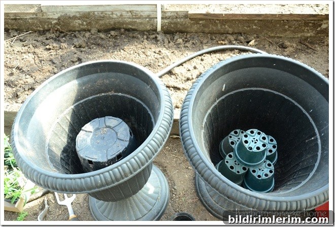 container gardening step one