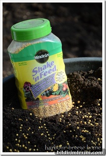 container gardening step two