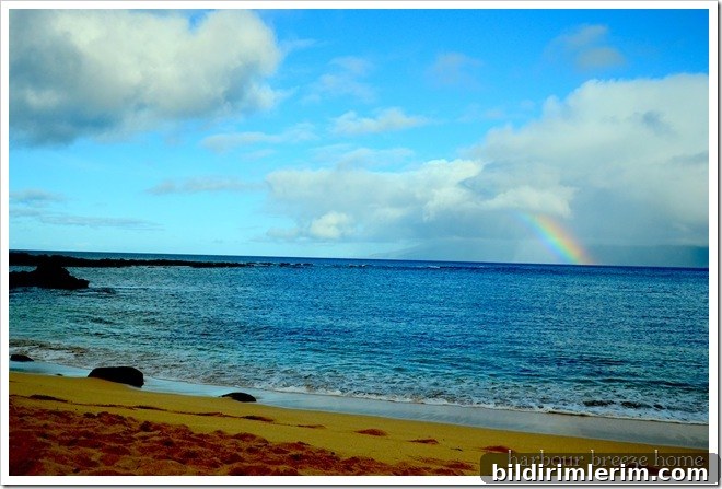 rainbow 2