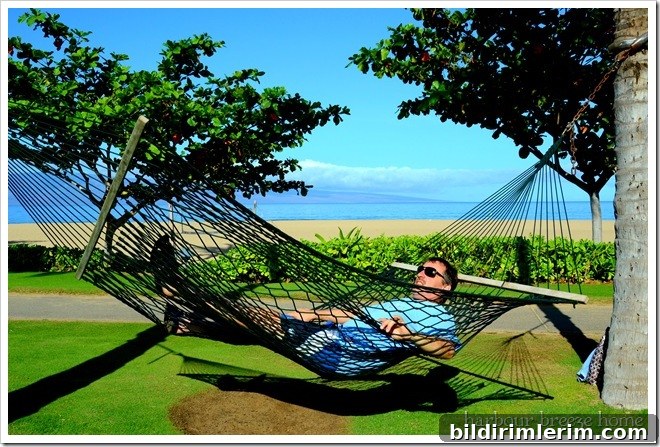 hammock2