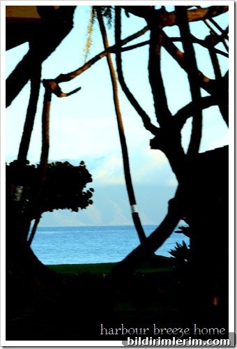 view of the ocean from our lieni view of the ocean from our lieni