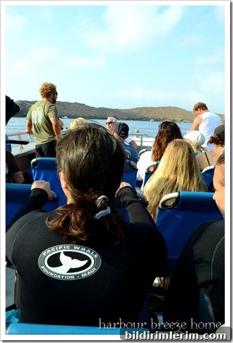 Molokini Crater Snorkel Trip: Maui Travel Guide 4 snorkeling trip