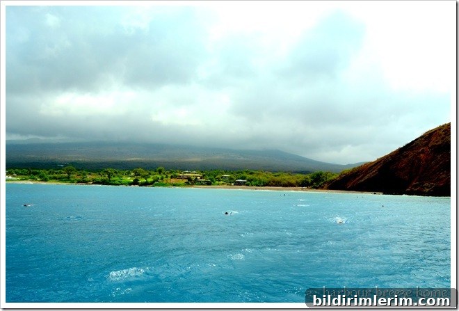 Molokini Crater Snorkel Trip: Maui Travel Guide 5 swimming with the turtles at La Perouse Bay