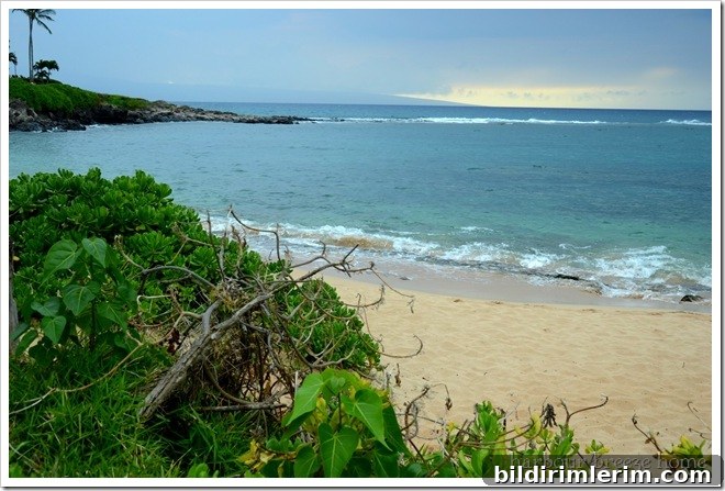 Molokini Crater Snorkel Trip: Maui Travel Guide 6 napili bay