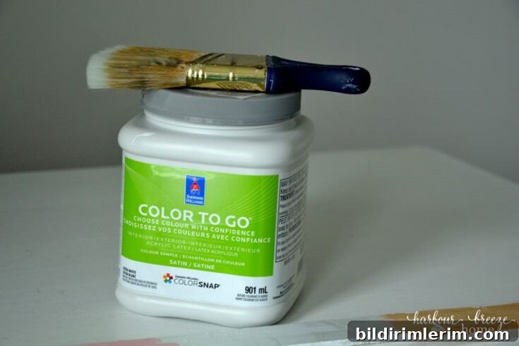 paint brush sitting on paint can
