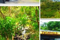 Road to Hana: Scenic Drive Along Maui’s Coast