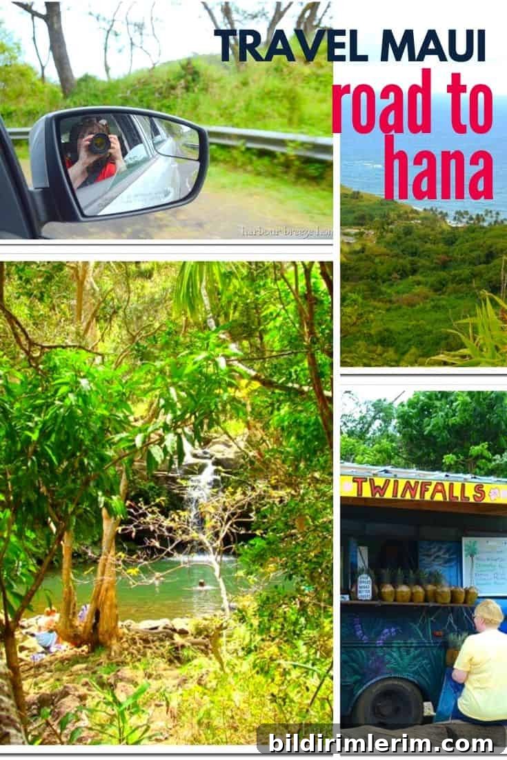Road to Hana: Scenic Drive Along Maui's Coast 2 img 4144 1